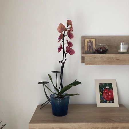 Grig Apartament Lägenhet Bukarest Exteriör bild